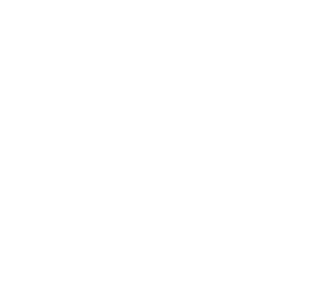 heart.webp icon