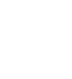 mind.webp icon